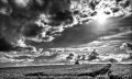 https://www.waibe.fr/sites/francipaq/medias/images/__HIDDEN__galerie_47/20260402-L4002686-b_BW_copie_2500.jpg
