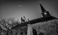 https://www.waibe.fr/sites/francipaq/medias/images/__HIDDEN__galerie_47/20260408-L4002718-b_BW_copie_2500.jpg