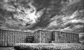 https://www.waibe.fr/sites/francipaq/medias/images/__HIDDEN__galerie_47/20260411-L4002760-b_BW_copie_2500.jpg