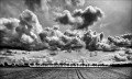 https://www.waibe.fr/sites/francipaq/medias/images/__HIDDEN__galerie_47/20260412-L4002761-b_BW_copie_2500.jpg
