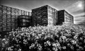 https://www.waibe.fr/sites/francipaq/medias/images/__HIDDEN__galerie_47/20260412-L4002766-b_BW_copie_2500.jpg