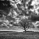 https://www.waibe.fr/sites/francipaq/medias/images/__HIDDEN__galerie_47/20260418-L4002790-b_BW_carre_34_copie_2500.jpg