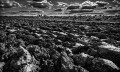 https://www.waibe.fr/sites/francipaq/medias/images/__HIDDEN__galerie_47/20260419-L4002795-b_BW_copie_2500.jpg