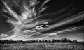 https://www.waibe.fr/sites/francipaq/medias/images/__HIDDEN__galerie_47/20260420-L4002800-b_BW_copie_2500.jpg