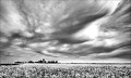 https://www.waibe.fr/sites/francipaq/medias/images/__HIDDEN__galerie_47/20260426-L4002828-b_BW_copie_2500.jpg