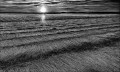https://www.waibe.fr/sites/francipaq/medias/images/__HIDDEN__galerie_47/20260617-L4002926-b_BW_recadre_copie_A2_2500.jpg