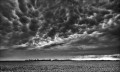 https://www.waibe.fr/sites/francipaq/medias/images/__HIDDEN__galerie_47/20260627-L4002940_b_BW_copie_2500.jpg