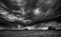 https://www.waibe.fr/sites/francipaq/medias/images/__HIDDEN__galerie_47/20260628-L4002964-b_BW_copie_2500.jpg