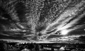 https://www.waibe.fr/sites/francipaq/medias/images/__HIDDEN__galerie_47/20260904-L4003239-b_BW_copie_2500.jpg