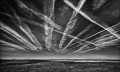 https://www.waibe.fr/sites/francipaq/medias/images/__HIDDEN__galerie_47/20260912-L4003261-b_BW_copie_2500.jpg