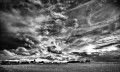 https://www.waibe.fr/sites/francipaq/medias/images/__HIDDEN__galerie_47/20260920-L4003307-b_BW_copie_2500.jpg