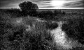 https://www.waibe.fr/sites/francipaq/medias/images/__HIDDEN__galerie_47/20261002-L4003334-b_BW_copie_2500.jpg