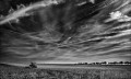 https://www.waibe.fr/sites/francipaq/medias/images/__HIDDEN__galerie_47/20261002-L4003337-b_BW_copie_2500.jpg