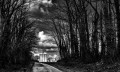 https://www.waibe.fr/sites/francipaq/medias/images/__HIDDEN__galerie_47/L1000010_b_BW_copie_1500.jpg