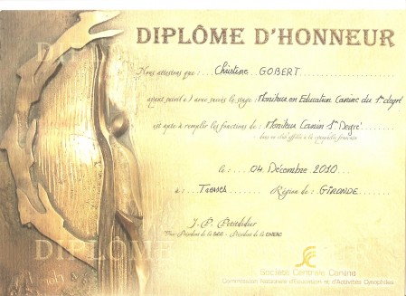 DIPLOMEMONITORAT 001