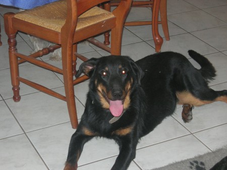 Photo 075
