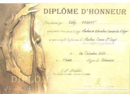 MONITORAT DIPLOME 001