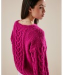 magazine n11 torsade jacquard co pingouin10