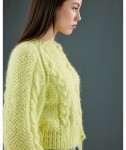 magazine n11 torsade jacquard co pingouin5