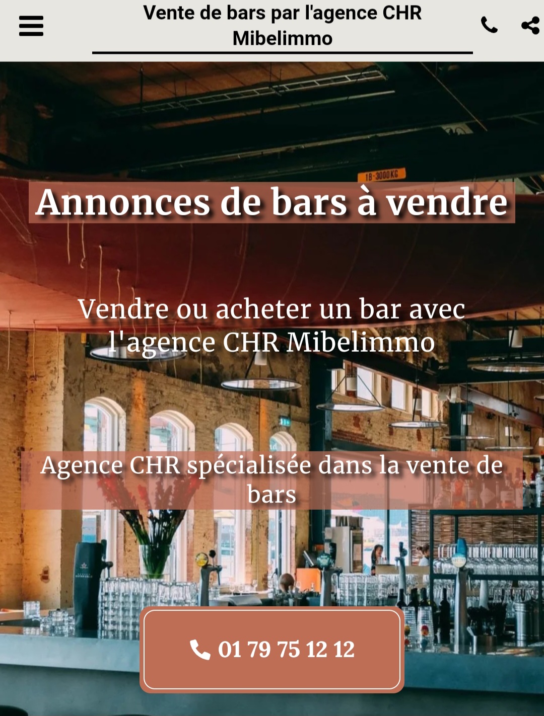 Site d'annonces de bars en vente.