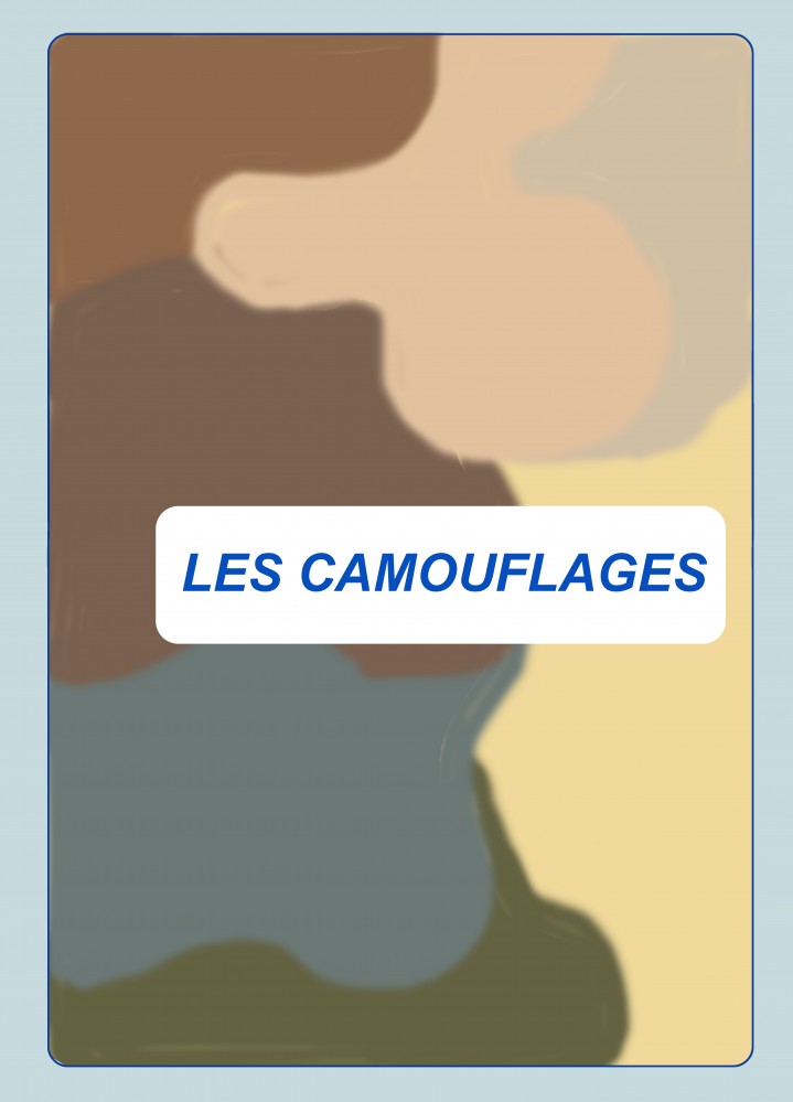 23A CAMOUFLAGES