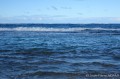 DSC04536 Le Moule