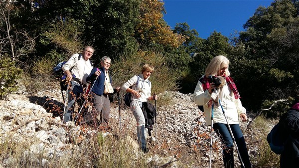 Les Dentelles 009