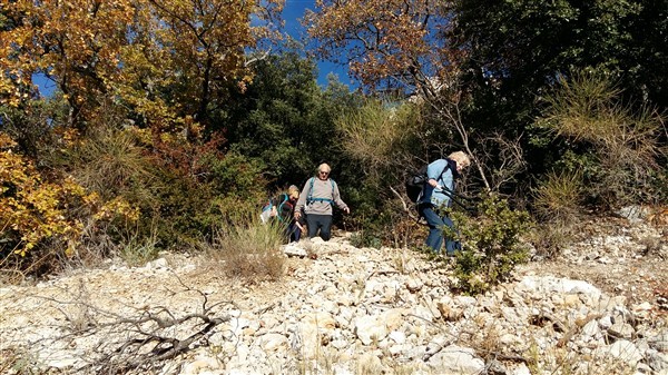 Les Dentelles 010