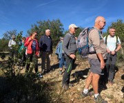 https://www.waibe.fr/sites/lesgenets/medias/images/__HIDDEN__galerie_10/IMG_3965.jpg