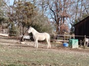 https://www.waibe.fr/sites/lesgenets/medias/images/__HIDDEN__galerie_3/475134948_10231437779722140_2263961808818931189_n.jpg