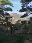 https://www.waibe.fr/sites/lesgenets/medias/images/__HIDDEN__galerie_4/480207001_2974406669380692_4316492090200308421_n.jpg