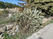https://www.waibe.fr/sites/lesgenets/medias/images/__HIDDEN__galerie_4/480428187_10231563504265175_901334291578217472_n.jpg