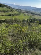 https://www.waibe.fr/sites/lesgenets/medias/images/__HIDDEN__galerie_6/IMG_8685.jpg