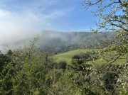 https://www.waibe.fr/sites/lesgenets/medias/images/__HIDDEN__galerie_6/PHOTO-2025-04-13-14-00-17.2jpg.jpg