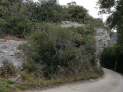https://www.waibe.fr/sites/lesgenets/medias/images/__HIDDEN__galerie_87/IMG_20220320_104928.jpg