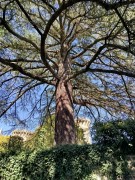 https://www.waibe.fr/sites/lesgenets/medias/images/__HIDDEN__galerie_9/557602833_3221277011360322_5975726052740064558_n.jpg
