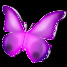 papillon 3D