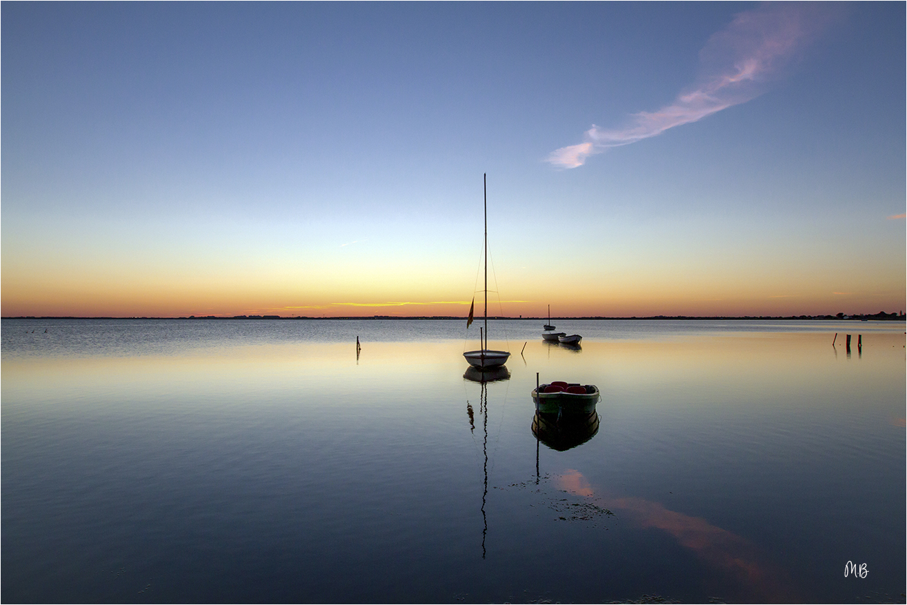 IMG 7798 copie N copie S