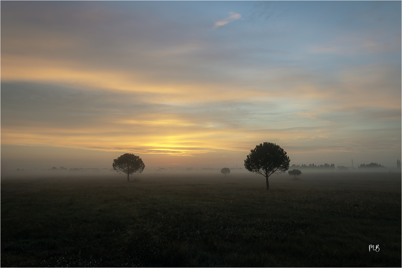  R1A3338 copie NNN copie S