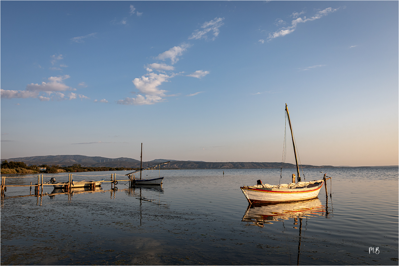  T7A2758 2 copie NNN copie S