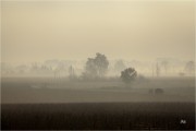 https://www.waibe.fr/sites/mohamedbenbelgacem/medias/images/__HIDDEN__galerie_1/IMG_0630-Avec_accentuation-Bruit_N_copie_S.jpg
