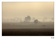 https://www.waibe.fr/sites/mohamedbenbelgacem/medias/images/__HIDDEN__galerie_1/IMG_0630-Avec_accentuation-Bruit_copie_2_copie.jpg