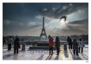 https://www.waibe.fr/sites/mohamedbenbelgacem/medias/images/__HIDDEN__galerie_1/IMG_1081_copie_NN_copie_S.jpg