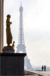 https://www.waibe.fr/sites/mohamedbenbelgacem/medias/images/__HIDDEN__galerie_1/IMG_1120_copie_N____S.jpg
