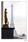 https://www.waibe.fr/sites/mohamedbenbelgacem/medias/images/__HIDDEN__galerie_1/IMG_1120_copie_N_copie.jpg
