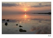 https://www.waibe.fr/sites/mohamedbenbelgacem/medias/images/__HIDDEN__galerie_1/IMG_1717_copie_2.jpg