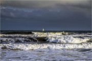 https://www.waibe.fr/sites/mohamedbenbelgacem/medias/images/__HIDDEN__galerie_1/IMG_1977_copie_S.jpg