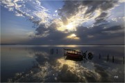https://www.waibe.fr/sites/mohamedbenbelgacem/medias/images/__HIDDEN__galerie_1/IMG_5339-2_copie_NN_copie_S.jpg