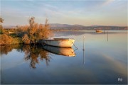 https://www.waibe.fr/sites/mohamedbenbelgacem/medias/images/__HIDDEN__galerie_1/IMG_9650_copie_N__copie_S.jpg