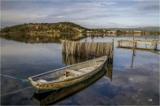 https://www.waibe.fr/sites/mohamedbenbelgacem/medias/images/__HIDDEN__galerie_1/IMG_9831_copie_S.jpg